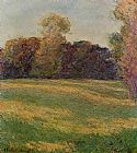Famous Meadow Paintings - Meadow in the Sun